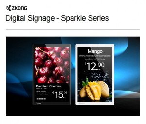 Zkong 10.1 դյույմ էկրանի ցուցանակ, դարակ եզրային LCD Full գունավոր Sparkle LCD վահանակ LCD էկրանի մոդուլ
