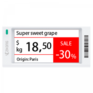 Zkong – porte-étiquette de prix à affichage électronique, 2.66 pouces, fabricant d'étiquettes de prix pour supermarché