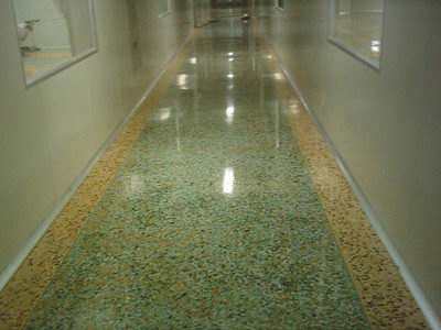 Cement floor curing process and equipment