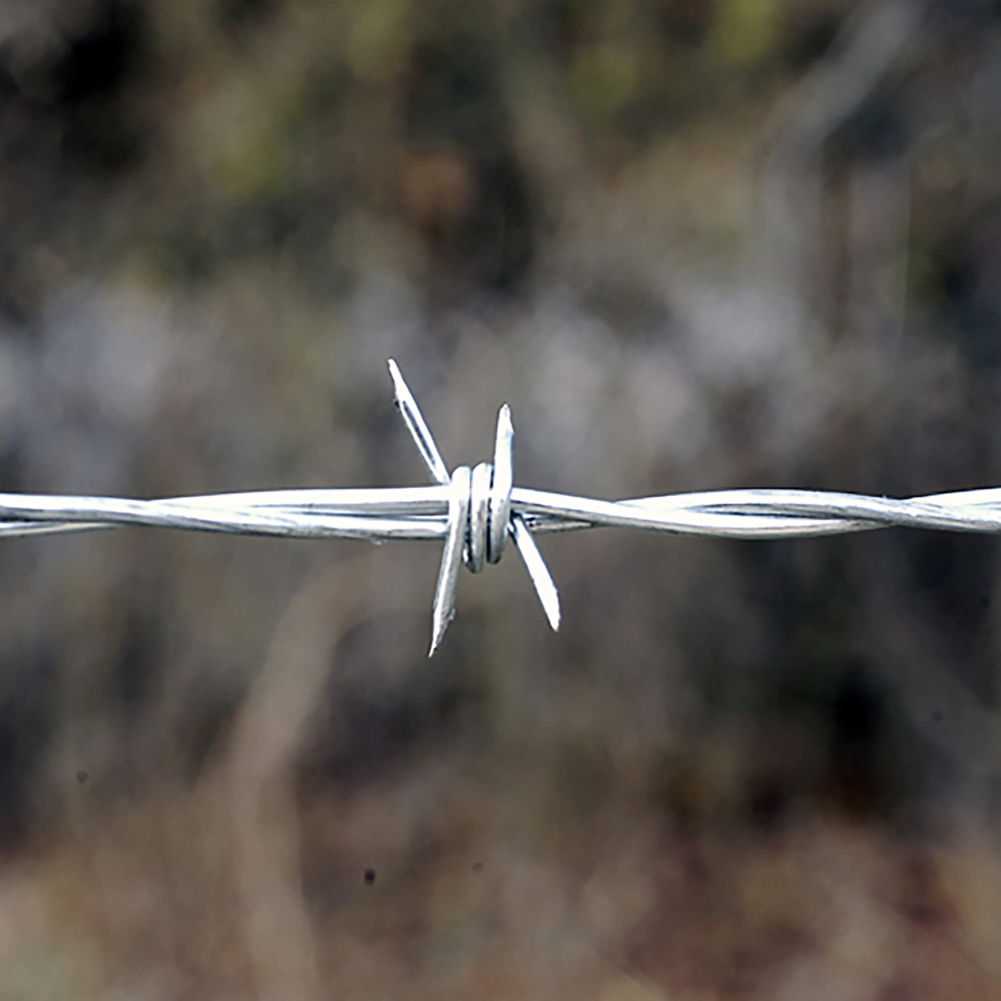 Murang Presyong Bultuhang Galvanized Barbed Wire na May Customized na Detalye