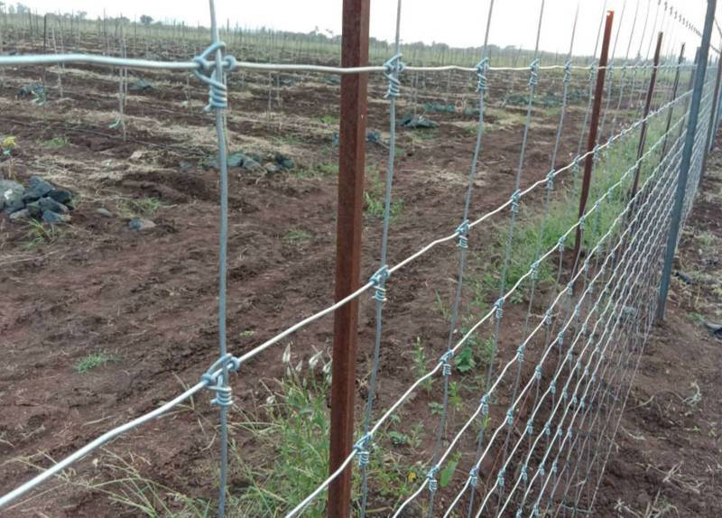 Фиксна ограда од елени со јазол