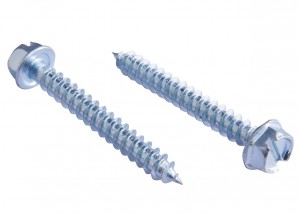 Hex Washer Head (slotted) Self Tapping Screw