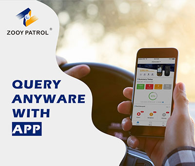 Do you have a mobile application to check patrol report from my cellphone ?