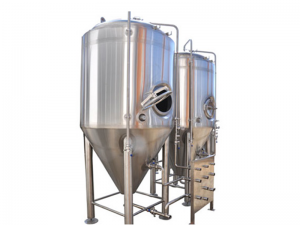 O proceso de fermentación da cervexa