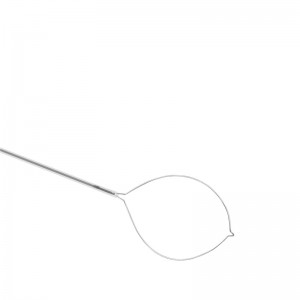Disposable Gastric Endoscopy Polypectomy Cold Snarewith Braided Loop