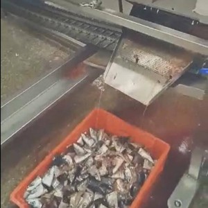 Szybka dostawa do Chin W pełni automatyczna cena fabryczna Typ ryby 4 warstwy Kf94 Maska na twarz Maszyna 1 + 1 Linia produkcyjna