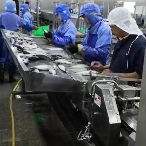 Արագ առաքում Չինաստանի համար Լիովին ավտոմատ գործարանային գինը Fish Type 4 Layers Kf94 Face Mask Machine 1+1 Production Line