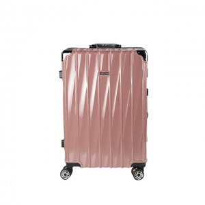 Fashion Trend Trolley Luggage