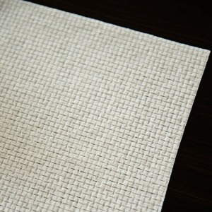 EF Spunlaced Nonwoven Fabric