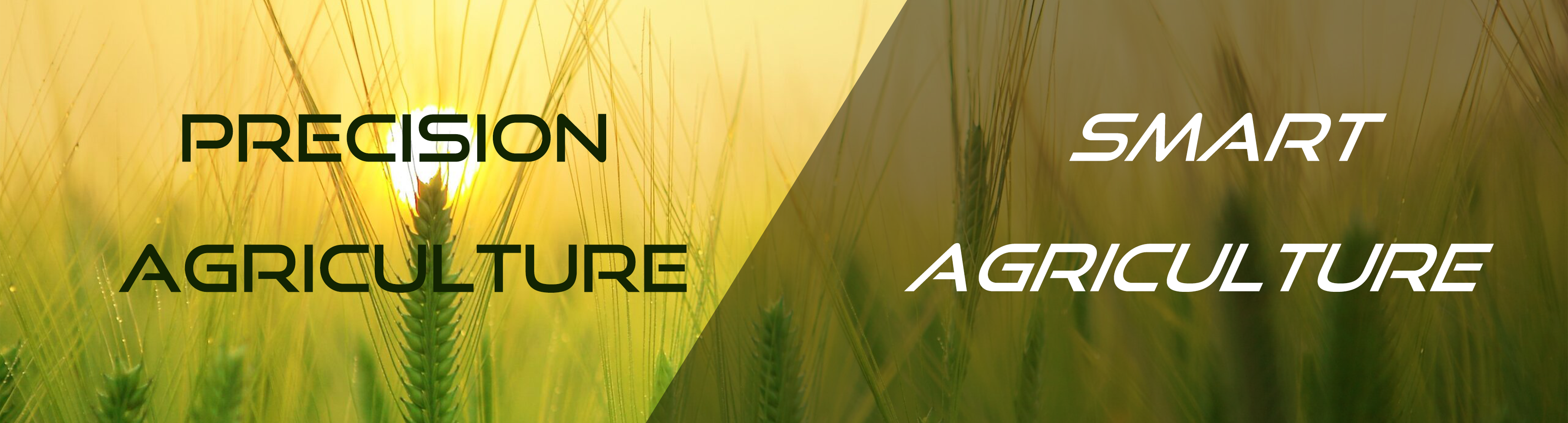 Precision Agriculture ທຽບກັບ Smart Agriculture: ຄວາມແຕກຕ່າງຄືແນວໃດ?