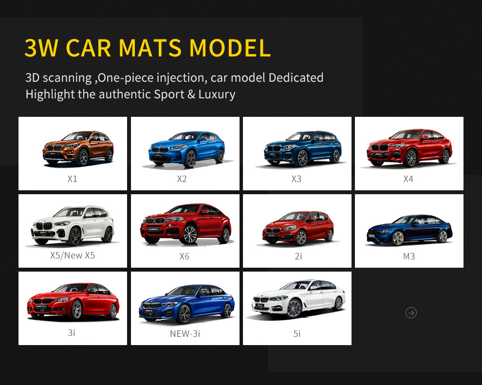 TPE car mat for BMW3