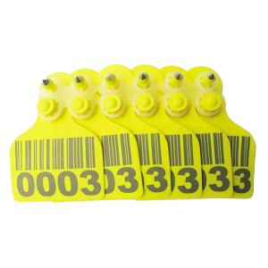 Large Insured Ear Tags 7365, Tamper Proof Ear Tags | Accory