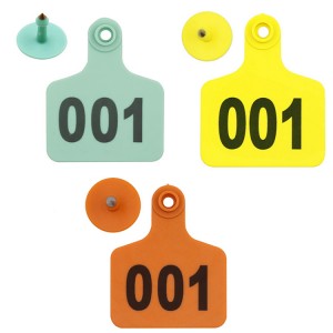 Large Cattle Ear Tags 7560, Numbered Ear Tags | Accory