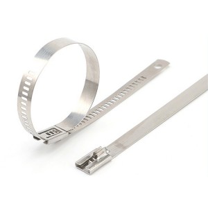 Multi-lock Stainless Steel Ties | Accory