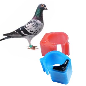 RFID Pigeon Ring Tags for Animal Tracking and Identification | Accory