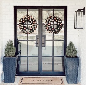 Factory wholesale Elegant Design Wrought Iron Entry Front Door