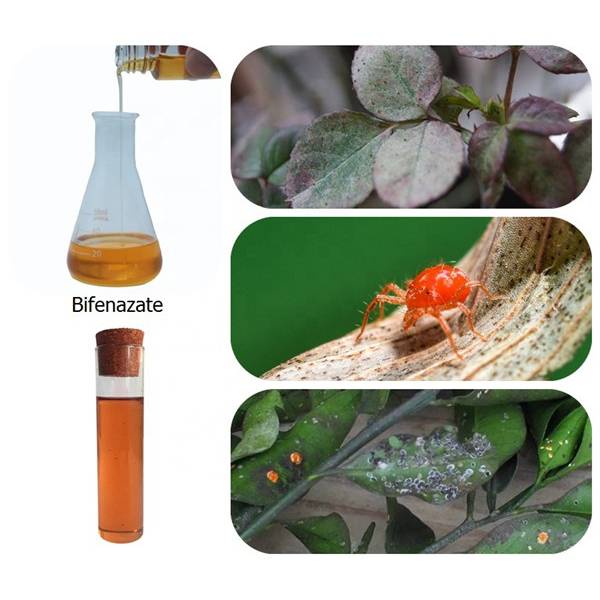 Leading Manufacturer for Paclobutrazol 25% SC - Insecticide Bifenazate 24%SC 99%TC 80%WP 5%GR 43%SC CAS 149877-41-8 – Awiner Biotech