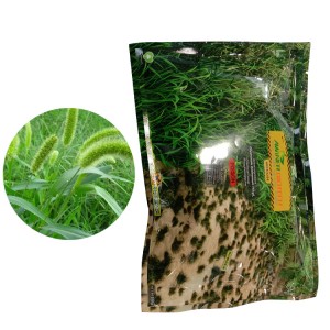 Herbicid Glyphosate-ammonium 757g/l weedicid fytocid shrnutí v zemědělství pesticid