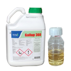 glifosat herbisit ຊາສວນສາລີ Field Sugar Cane Field Road ທາງລົດໄຟຢາຂ້າແມງໄມ້ glyphosate herbicide 480sl