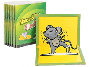 Public Health pest control-Mouse paper trap