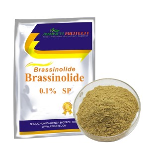 Pesticide prices plant growth regulator natural brassinolide dosage 0.1% sp