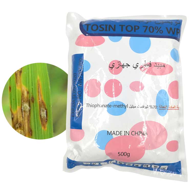 Factory Price Indoxacarb 30% SC - Pesticides for vegetables fungicides agrochemicals fungicid price 35% 70% wp thiophanate-methyl – Awiner Biotech