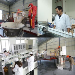 Best quality Kenya Dried Pyrethrum Flower Processing Extraction Machinery