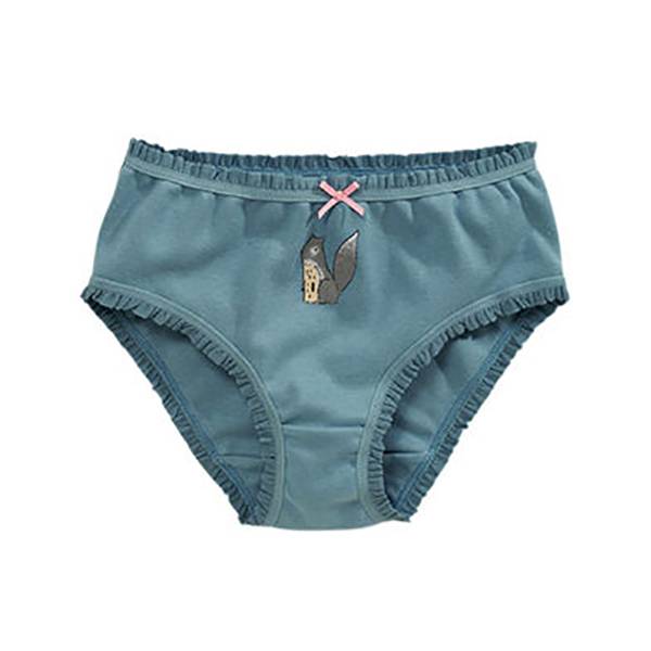 OEM manufacturer Reactive Printing Underwear - Girls Underpants pinch free Kid Girl Model Underwear 100% Cotton Plain Children Clothes Kids Series Baby Cotton Panties Little Girls’ Briefs &#...