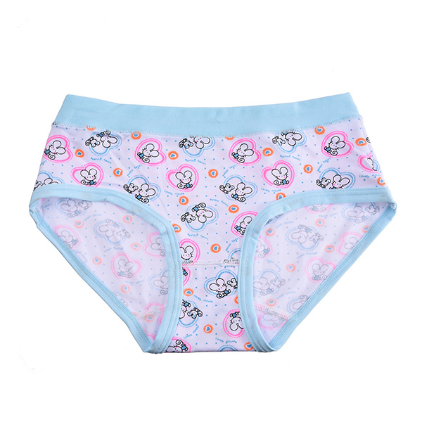 OEM Customized Sublimation Printing Underwear - Girls Organic  Panties Baby Cotton Kids Wearing Girl Children sturdy Girls Briefs Knickers Underwear  – Toptex