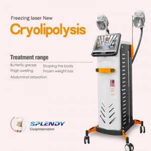 CE Approved Body Shaping machine