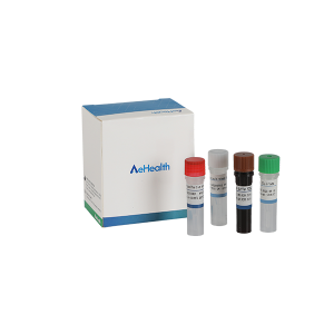 Personlized Products Molecular Test Monkeypox Virus Real Time PCR Kit Diagnostic Kit