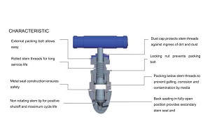 Working principle of needle valve