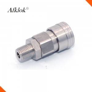 PT SS304 1000psi Female to Female Quick Coupling
