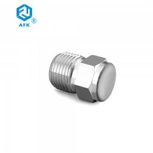 China Manufacture Stainless Steel Gas Connector Pipe Plug