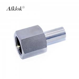 Stainless Steel High Pressure 3000psi Pipe Fitting Female Adapter