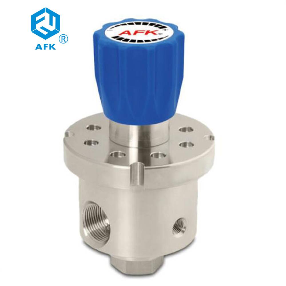 China Wholesale High Pressure Dual Stage Regulator Manufacturers - High Flow 1″Stainless Steel Single Stage Pressure Regulator  – Wofly