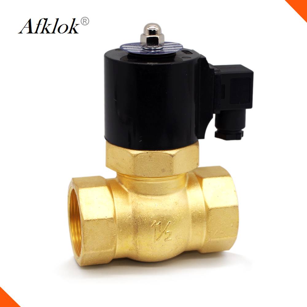 China Wholesale 110v Solenoid Valve Quotes - 2 Way 2 Position Pilot Type Steam Solenoid Valve 220vac 16bar  – Wofly