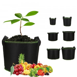 China New Design Agriculture Products Dura Non Texta Vegetabilis Capsicum Flower Garden Fructus Plantans Grow Bags