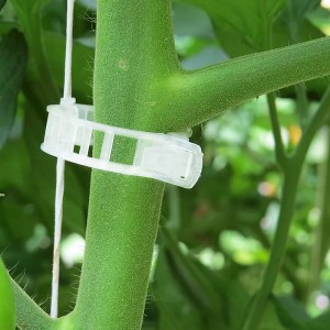 Clips de soporte para plantas de xardín Clips de tomate