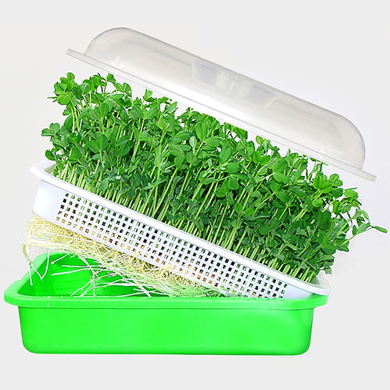 Seed-Sprouter-Tray-With-Lid-Hydroponic-Germination-Tray1