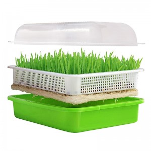Seed Sprouter Tray Uban sa Lid Hydroponic Germination Tray