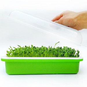 Seed Sprouter Tray Uban sa Lid Hydroponic Germination Tray
