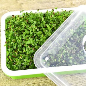 Ithreyi ye-Seed Sprouter ene-Lid Hydroponic Germination Tray