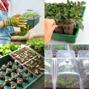 Garden Nursery Seed Starter Tray Kit Seedling Tray mei koepel