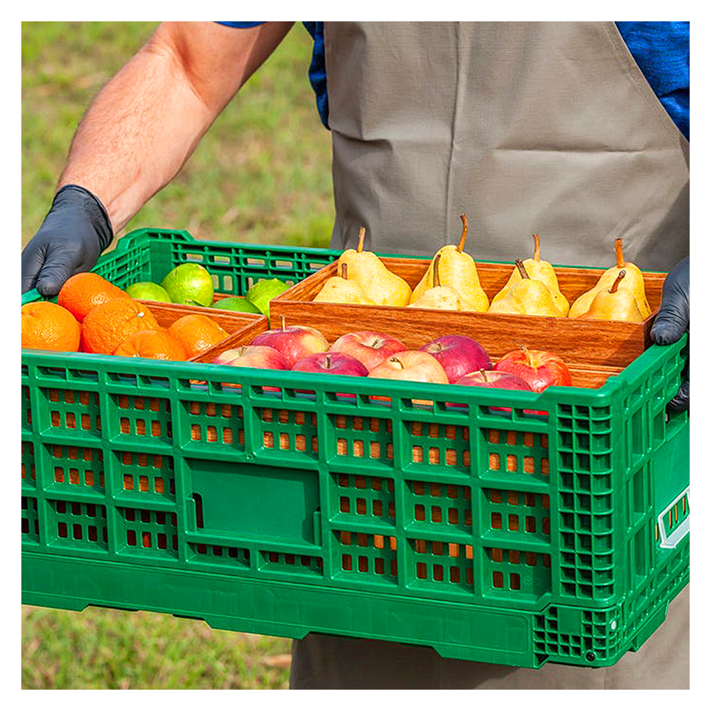 Tendenze d'applicazione di casse di plastica plegabili in l'industria di frutta è verdura