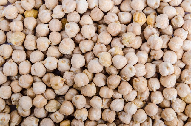 Accelerated breeding brings herbicide-tolerant chickpeas closer to commercial reality