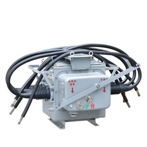FZW28-12F Outdoor Boundary Vacuum Load Switch