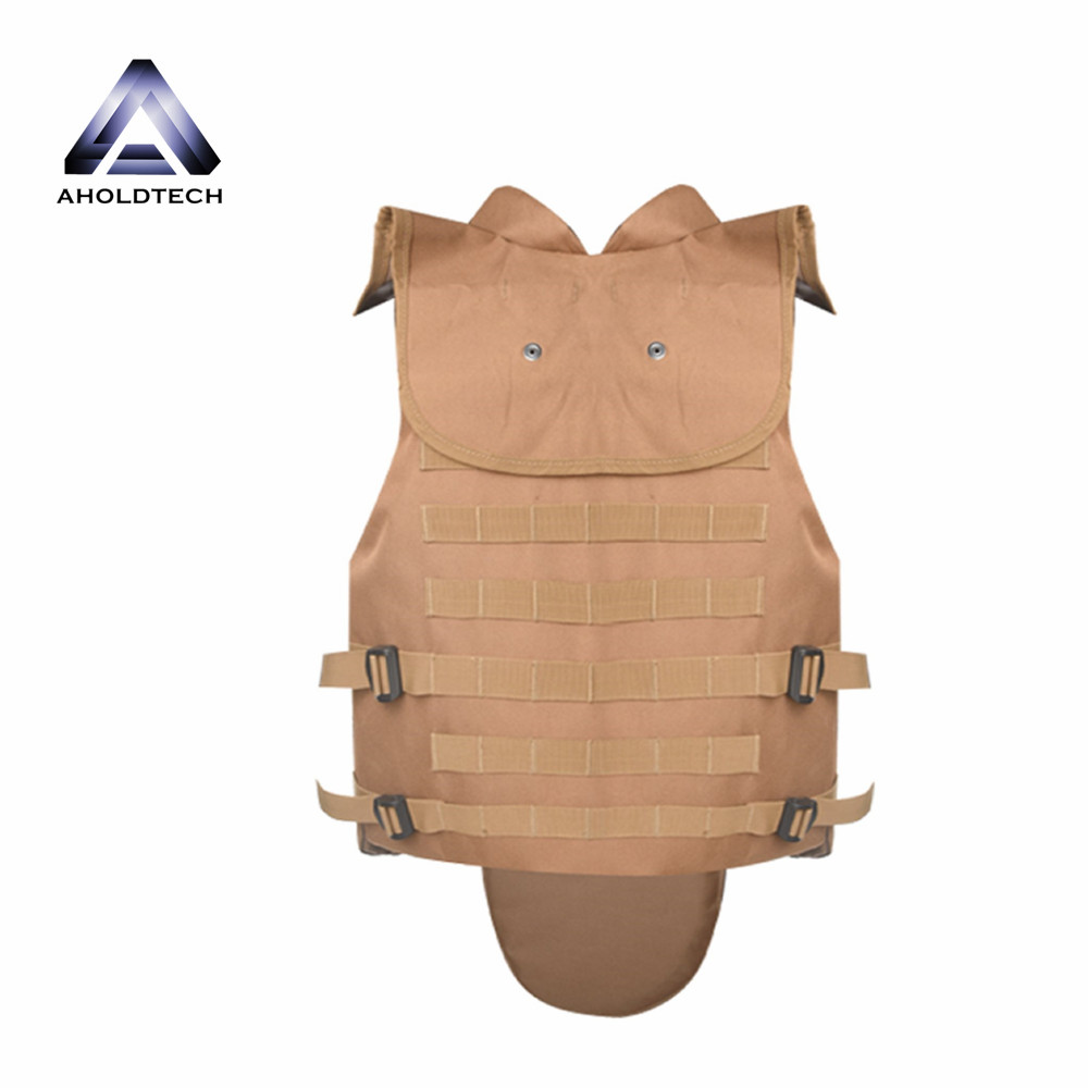 China Cheapest Price Insert Ballistic Bag - PE Hand Hold Bulletproof Shield  NIJ III AHBS-H3P04 – Ahodtechph factory and manufacturers