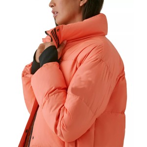 Women’s Puffer Jacket Long Sleeves Knit Cuffs Stand Collar Front Zipper For Factory Wholesale In Bulk