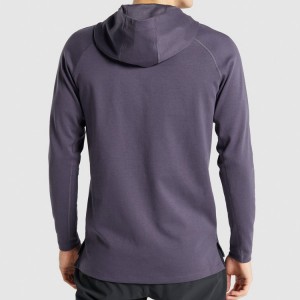 Wholesale Private Label Raglan Workout Pullover Plain Sports Cotton Hoodies For Men